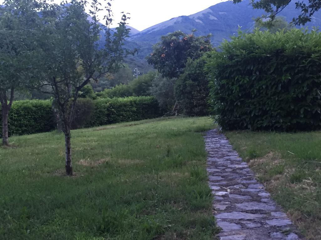 Agriturismo La Valle Degli Ulivi Trecchina Exterior photo